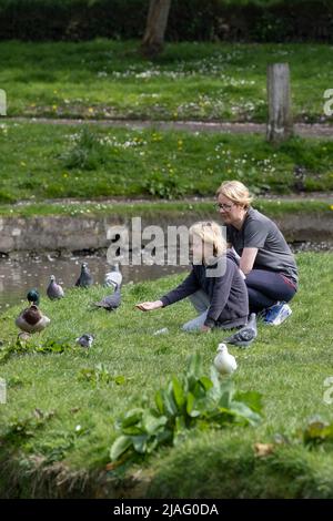 Una madre che guarda suo figlio giovane nutrire anatre e piccioni in Trenance Gardens a Newquay in Cornovaglia nel Regno Unito. Foto Stock