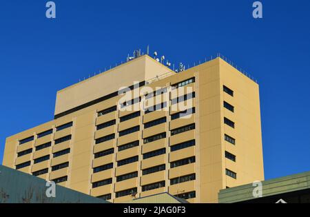 Scatta foto alla University of New South Wales Foto Stock