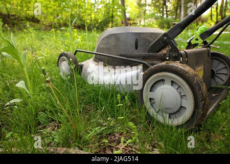 Falciatrice da prato ad angolazione ridotta pronta per il taglio di erba lunga o per illustrare il concetto di aiutare le api Foto Stock