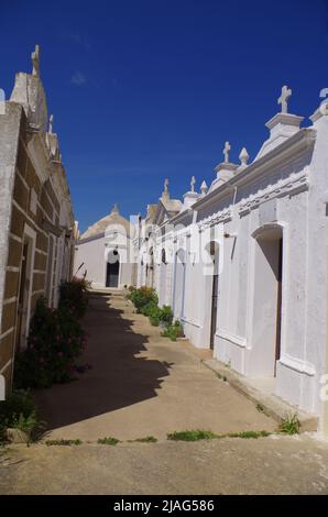 Famiglia Graves a Bonifacio. Korsika. Foto Stock