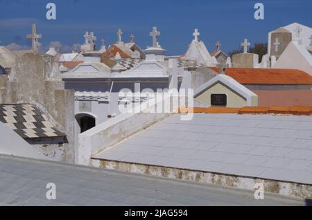 Famiglia Graves a Bonifacio. Korsika. Foto Stock