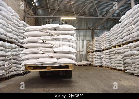 Sacchi di grano impilati bianchi in un magazzino Foto Stock