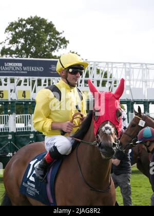 Il jockey Andrea Atzeni su Meredif alle corse di York. Foto Stock