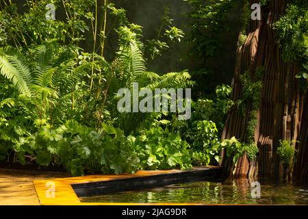 Lophosora - Diamond Leaf Fern e Farfugium japonicum gigantum intorno ad una piscina nel Medite Smartply Building il futuro giardino progettato da Sarah Eberl Foto Stock