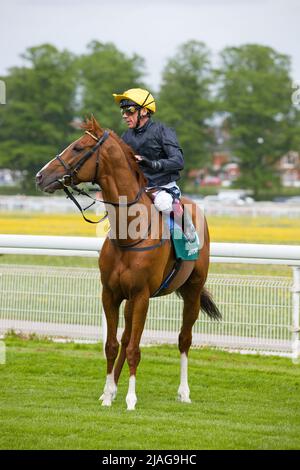 Jockey Frankie Dettori su Stradivarius alle corse di York. Foto Stock