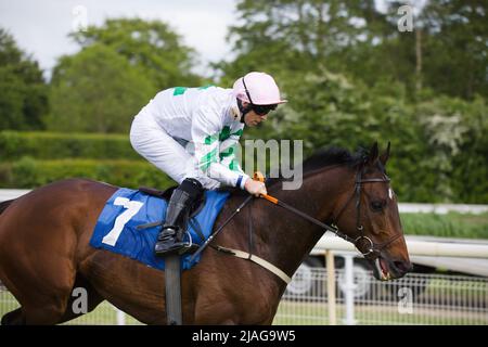 Jockey ben Curtis su Mossbawn alle corse di York. Foto Stock