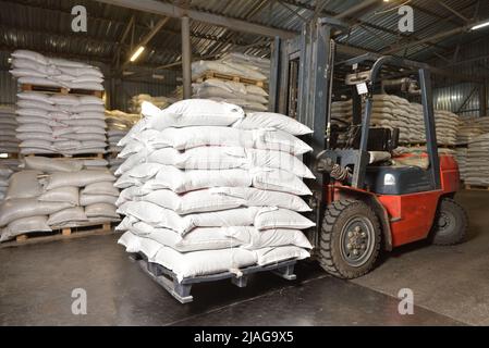 Carrello elevatore in un magazzino con grano in sacchi Foto Stock