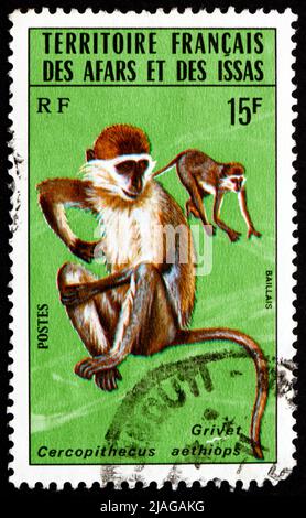 AFARS E ISSAS - CIRCA 1975: Un francobollo stampato in Afars e Issas mostra Grivet, Cercopithecus Aethiops, Monkey, circa 1975 Foto Stock