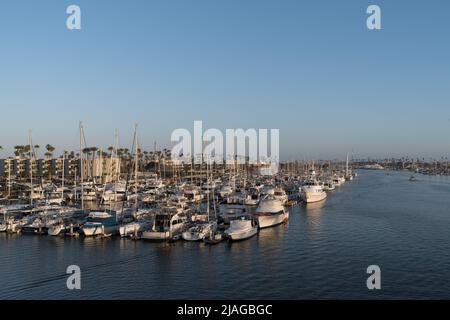 Un grande gruppo di barche attraccate viene mostrato durante un pomeriggio di sole nel porto delle Channel Islands. Foto Stock