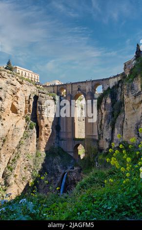 Ronda, Malaga, Spagna - brillanti fiori di primavera gialli e cascata al Ponte nuovo che attraversa la gola di El Tajo alta 120 metri del fiume Guadalevín Foto Stock