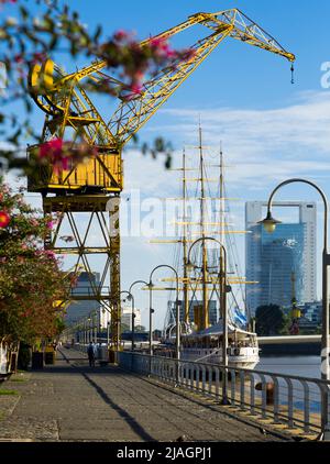 Argine e porto (Puerto Madero), Buenos Aires Foto Stock