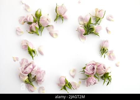 Struttura da rose e petali su sfondo bianco. Disposizione piatta. Foto Stock