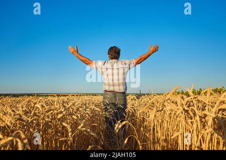 Coltivatore felice con orgoglio in piedi in campo di grano. Agronomo che indossa la divisa aziendale, guardando la macchina fotografica sul terreno agricolo. Raccolta ricca di cereali coltivati c Foto Stock