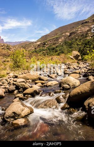 Il fiume Injisuti, noto anche come la piccola Tugela, scorre velocemente su massi arrotondati in una giornata di sole nei Monti Drakensberg del Sud Africa Foto Stock