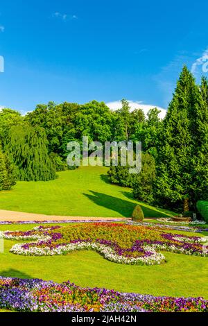 Passeggiata estiva nel bellissimo Parco di Altenstein vicino a Bad Liebenstein - Turingia - Germania Foto Stock