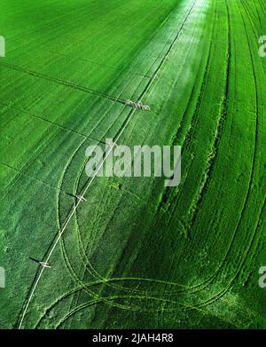 Vista aerea da un drone che vola sopra un campo verde fattoria coltivando colture crescita con irrigatori pivot irrigazione Foto Stock