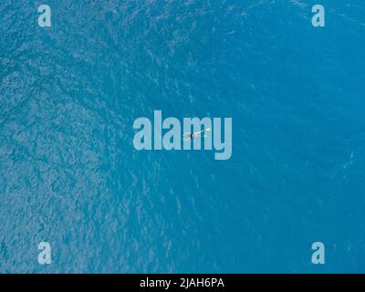 vista dall'alto della donna che nuota in pinne d'acqua di mare blu Foto Stock