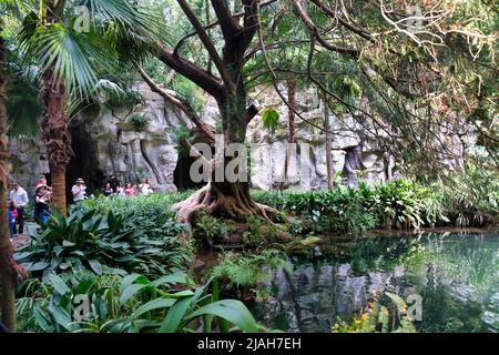 Il bagno di Venere, una delle parti più belle del giardino inglese nel parco della Reggia di Caserta Foto Stock