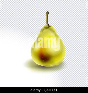 Pera verde realistica su trasparente. Frutta fresca dolce succosa per un'alimentazione sana, dieta. Prodotto naturale. Vettore per disegno cibo organico, bevanda, banner, Illustrazione Vettoriale