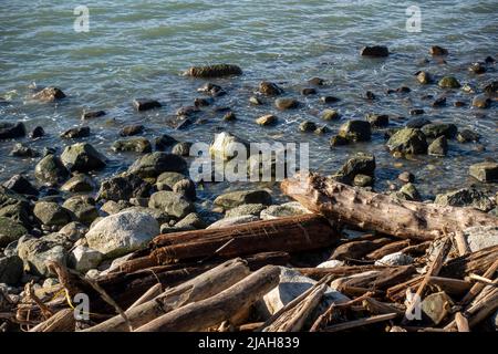 Costa rocciosa di False Bay a San Juan Island, Washington, ricaricandosi dopo la bassa marea in una giornata di sole Foto Stock