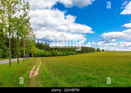 Sulla strada sulle alture della Foresta Turingia vicino Neustadt am Rennsteig - Turingia - Germania Foto Stock