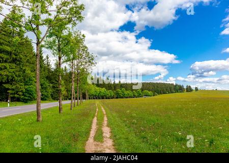 Sulla strada sulle alture della Foresta Turingia vicino Neustadt am Rennsteig - Turingia - Germania Foto Stock