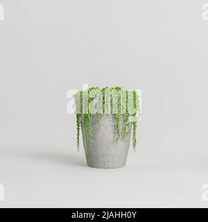 3d illustrazione di pianta in calcestruzzo incapsulato isolato su sfondo bianco Foto Stock