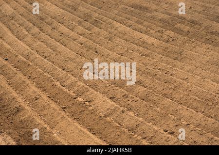 Linee nel terreno arato di un campo agricolo pronto per piantare o seminare in primavera Foto Stock