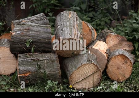 Legna da ardere rotonda giace sull'erba nel cortile. Segato. Pads. Di albero Foto Stock