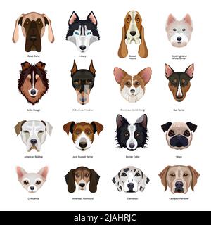 Cute cani volti di varie razze piatto set con collie labrador doberman chihuahua pugdog terrier husky hound isolato vettore illustrazione Illustrazione Vettoriale