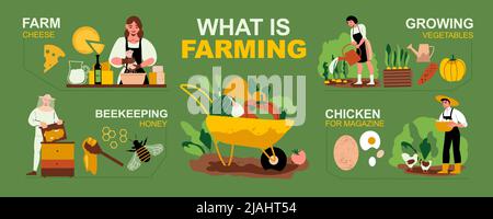 Infografica di fattoria con pollo al formaggio e simboli apicoltura illustrazione vettoriale Illustrazione Vettoriale