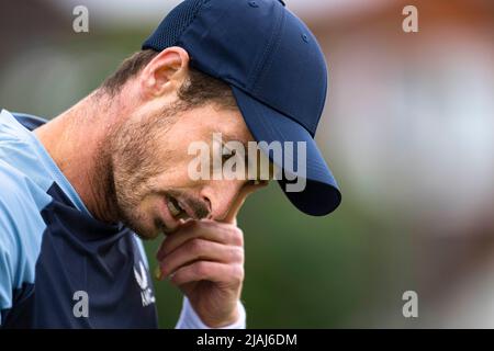 SURREY, REGNO UNITO. 30th maggio 2022. Andy Murray (GBR) vs Jurij Rodionov (AUT) durante il Trofeo di Surbiton 2022 al Surbiton Racket & Fitness Club lunedì 30 maggio 2022 a SURREY INGHILTERRA. Credit: Taka G Wu/Alamy Live News Foto Stock