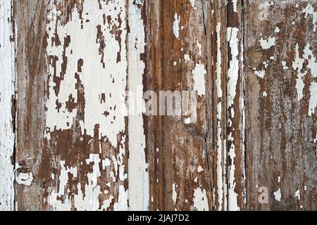 Vecchio sfondo in legno scheggiato, vernice bianca graffiata su tavole di legno. Doghe in legno massello bianco vecchio rustico shabby frame sfondo. Foto Stock