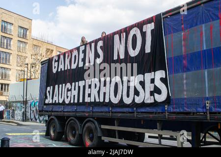 HACKNEY, LONDRA, INGHILTERRA- 23 marzo 2022: I manifestanti della ribellione animale sedevano sopra un camion che lasciava Kedassia abattoir a Hackney Foto Stock