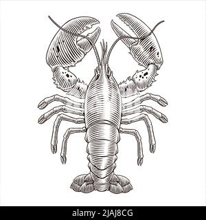 Illustrazione vettoriale dell'incisione dell'aragosta per il menu dei frutti di mare. Crostacei disegnati a mano in stile vintage. Illustrazione Vettoriale