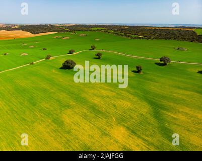 Vista aerea dei campi nella regione di Castiglia-la Mancha Foto Stock