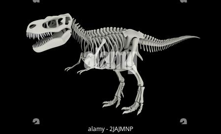 Sistema scheletrico di Tyrannosaurus rex, vista laterale. Foto Stock