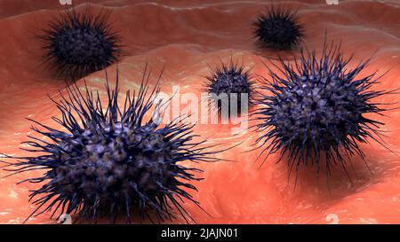 Illustrazione biomedica di Neisseria meningitidis, una meningite batterica, sulla superficie. Foto Stock