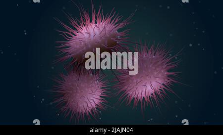 Illustrazione biomedica di Neisseria meningitidis, una meningite batterica. Foto Stock