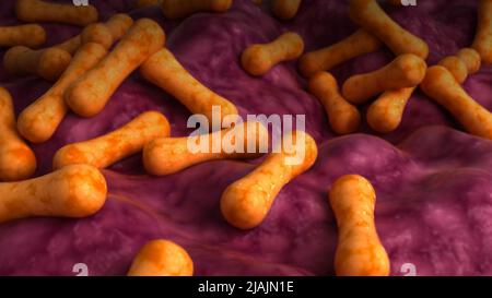 Illustrazione biomedica concettuale dei batteri di Corynebacterium tenuis. Foto Stock