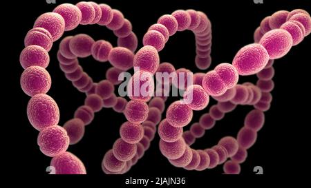 Illustrazione biomedica concettuale dell'epiglottite, su sfondo nero. Foto Stock