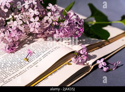 Un bel fiore lilla su un libro aperto. Libro e fiori. Poesia e romanticismo. Fiori con libri. Lilla e libro. Foto di alta qualità Foto Stock
