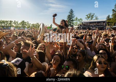 Napa, Stati Uniti. 29th maggio 2022. Folla/atmosfera durante la 2022 BottleRock Napa Valley al Napa Valley Expo il 29 maggio 2022 a Napa, California. Foto: Chris Tuite/imageSPACE Credit: Imagespace/Alamy Live News Foto Stock