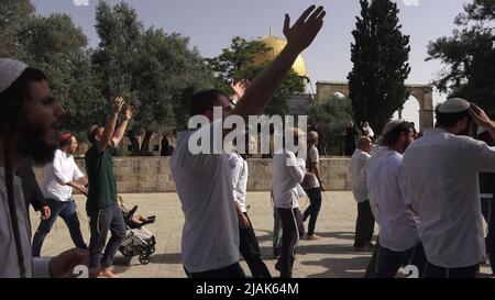 GERUSALEMME, ISRAELE - MAGGIO 29: I poliziotti israeliani scortano un gruppo di israeliani ultra-nazionalisti che visitano il Monte del Tempio conosciuto dai musulmani come Haram esh-Sharif (Santuario del Nobile) durante la festa israeliana 'Jerusalem Day' davanti al nazionalista ebraico 'flag march' nella città vecchia il 29 Maggio 2022 a Gerusalemme, Israele. La marcia della bandiera del giorno di Gerusalemme segna l'anniversario dell'unificazione della Città Vecchia e di Gerusalemme Est nel 1967. Foto Stock