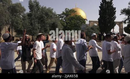 GERUSALEMME, ISRAELE - MAGGIO 29: I poliziotti israeliani scortano un gruppo di israeliani ultra-nazionalisti che visitano il Monte del Tempio conosciuto dai musulmani come Haram esh-Sharif (Santuario del Nobile) durante la festa israeliana 'Jerusalem Day' davanti al nazionalista ebraico 'flag march' nella città vecchia il 29 Maggio 2022 a Gerusalemme, Israele. La marcia della bandiera del giorno di Gerusalemme segna l'anniversario dell'unificazione della Città Vecchia e di Gerusalemme Est nel 1967. Foto Stock