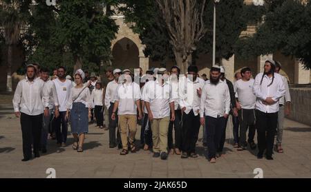 GERUSALEMME, ISRAELE - MAGGIO 29: I poliziotti israeliani scortano un gruppo di israeliani ultra-nazionalisti che visitano il Monte del Tempio conosciuto dai musulmani come Haram esh-Sharif (Santuario del Nobile) durante la festa israeliana 'Jerusalem Day' davanti al nazionalista ebraico 'flag march' nella città vecchia il 29 Maggio 2022 a Gerusalemme, Israele. La marcia della bandiera del giorno di Gerusalemme segna l'anniversario dell'unificazione della Città Vecchia e di Gerusalemme Est nel 1967. Foto Stock