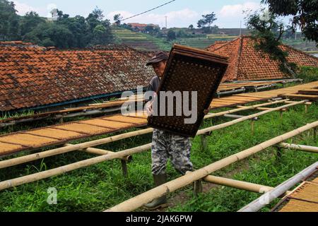 31 maggio 2022, Sumedang, Giava Occidentale, Indonesia: Un uomo dispone vassoi di essiccazione del tabacco nel Villaggio del tabacco, Sumedang, Indonesia. La maggior parte dei residenti in questo villaggio lavora come coltivatori di tabacco, una professione che hanno trasmesso di generazione in generazione. Quando visiteremo questo villaggio, vedremo distese di tabacco che asciugano sotto il sole che riempie le strade del villaggio, tetti e terrazze di case. Questo villaggio è in grado di soddisfare la domanda di mercato da tutte le province indonesiane, tra cui West Java, Bali e Sumatra. Alcuni prodotti vengono persino esportati all'estero, in luoghi come il Pakistan, la Malaysia e la Turchia. (Credi Foto Stock