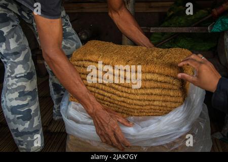 31 maggio 2022, Sumedang, Giava Occidentale, Indonesia: Un uomo mostra tabacco essiccato pronto a vendere nel Villaggio del tabacco, Sumedang, Indonesia. La maggior parte dei residenti in questo villaggio lavora come coltivatori di tabacco, una professione che hanno trasmesso di generazione in generazione. Quando visiteremo questo villaggio, vedremo distese di tabacco che asciugano sotto il sole che riempie le strade del villaggio, tetti e terrazze di case. Questo villaggio è in grado di soddisfare la domanda di mercato da tutte le province indonesiane, tra cui West Java, Bali e Sumatra. Alcuni prodotti vengono persino esportati all'estero, in luoghi come il Pakistan, la Malaysia e la Turchia. (Cod Foto Stock