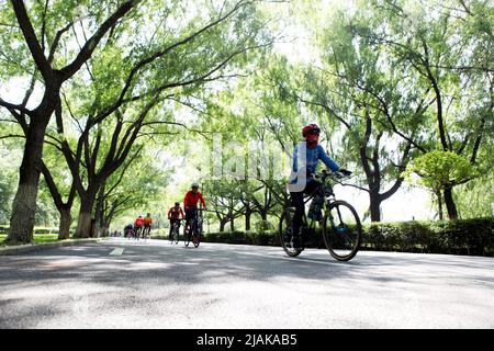 SHENYANG, CINA - 31 MAGGIO 2022 - i ciclisti si muovono liberamente per celebrare la Giornata Mondiale dell'ambiente a Shenyang, provincia di Liaoning, Cina, 31 maggio 2022. Foto Stock