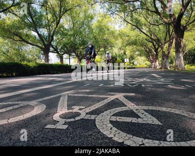 SHENYANG, CINA - 31 MAGGIO 2022 - i ciclisti si muovono liberamente per celebrare la Giornata Mondiale dell'ambiente a Shenyang, provincia di Liaoning, Cina, 31 maggio 2022. Foto Stock